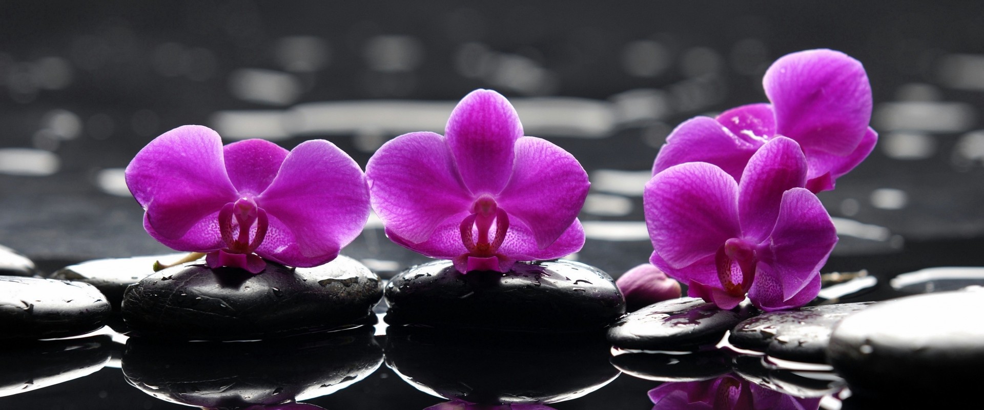 Book treatments at Massage Center nearby Top View Spa in Dubai